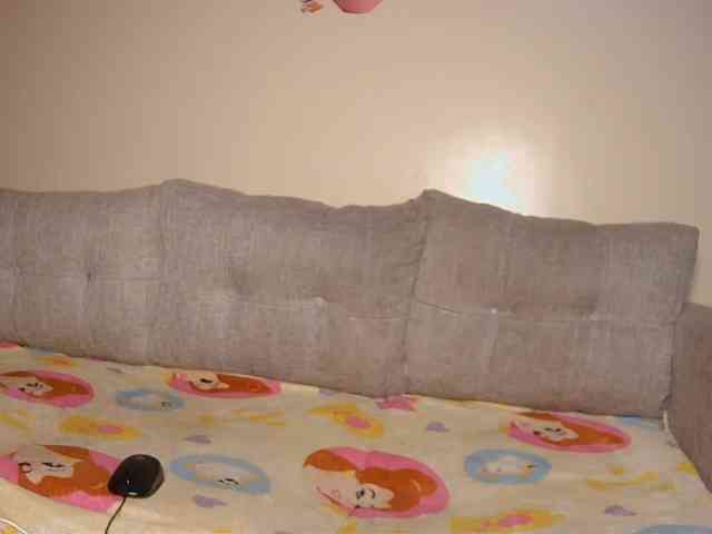 Primerose webcam