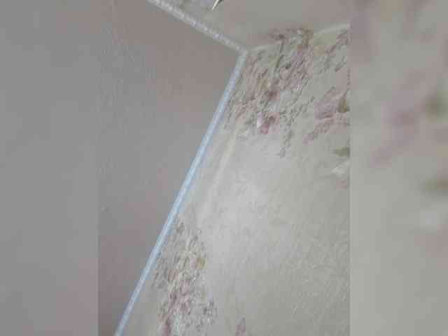 Anyaom webcam