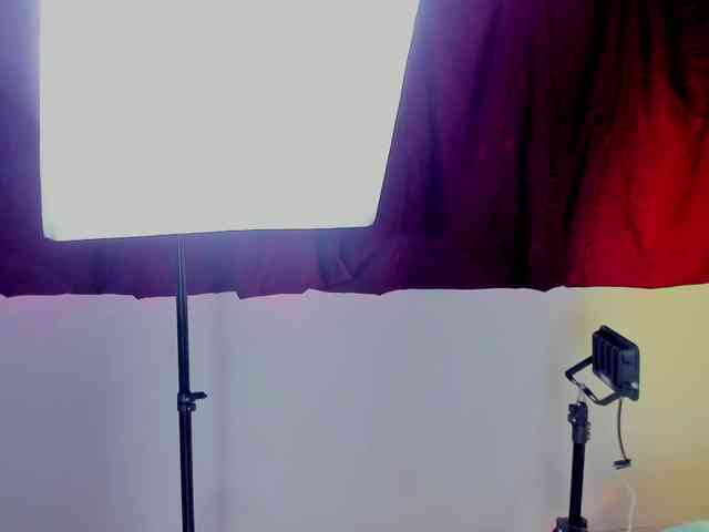van-angel webcam
