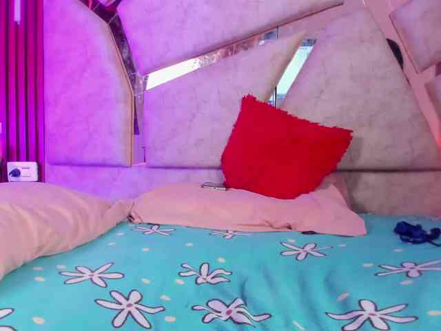 van-angel webcam