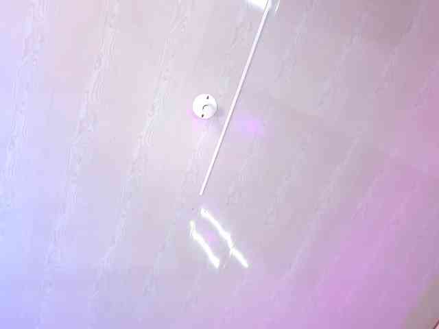van-angel webcam