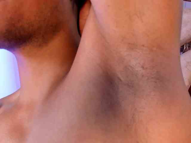 van-angel webcam