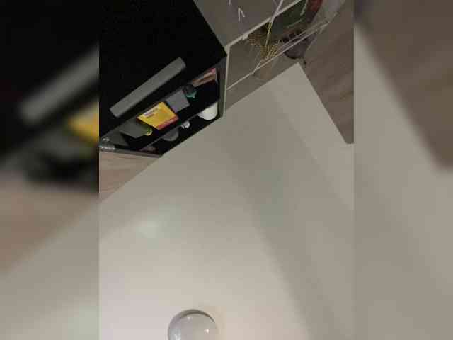 RobinLili webcam