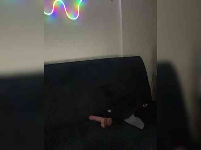 RobinLili webcam