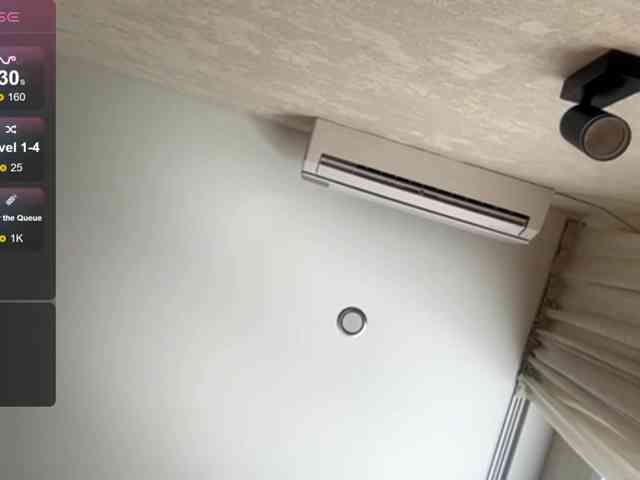 DeettaSkow webcam