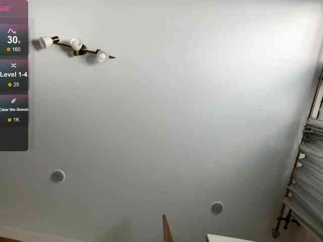 DeettaSkow webcam