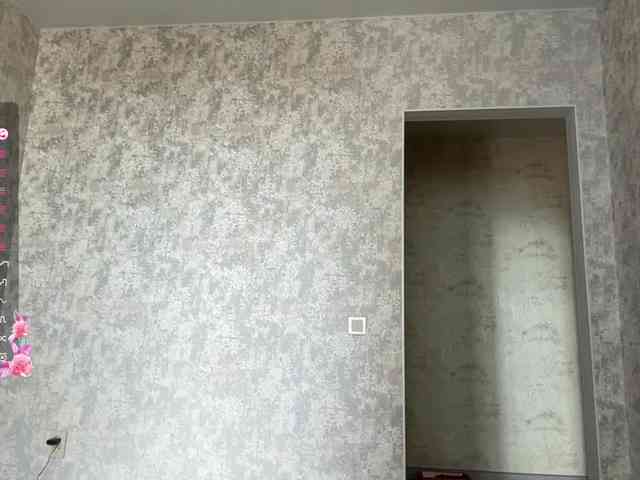 ViollaShow webcam