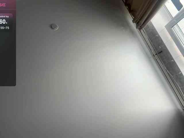 DeettaSkow webcam