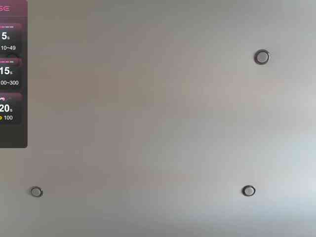 DeettaSkow webcam