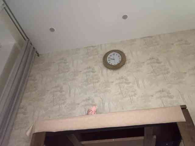 DeettaSkow webcam
