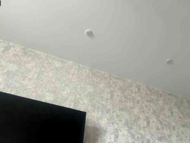 DeettaSkow webcam