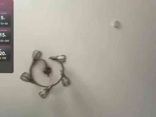 DeettaSkow webcam