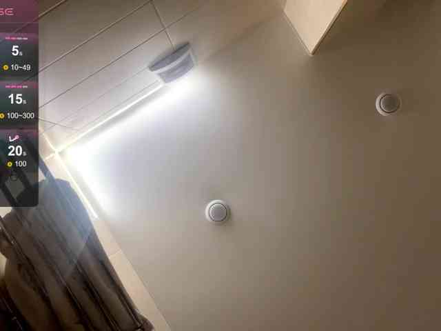DeettaSkow webcam