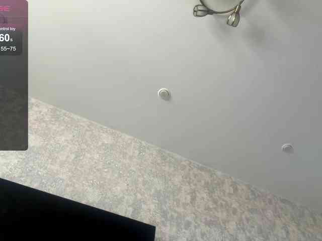 DeettaSkow webcam