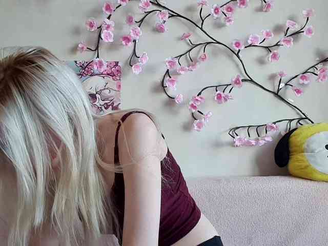 MisaMew