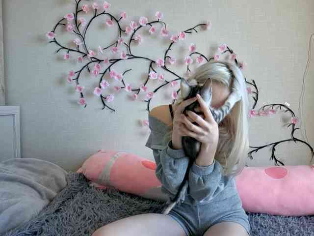 MisaMew