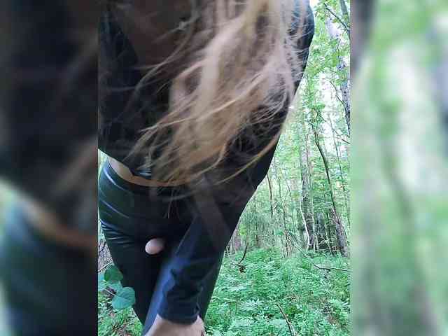 Evangeli webcam
