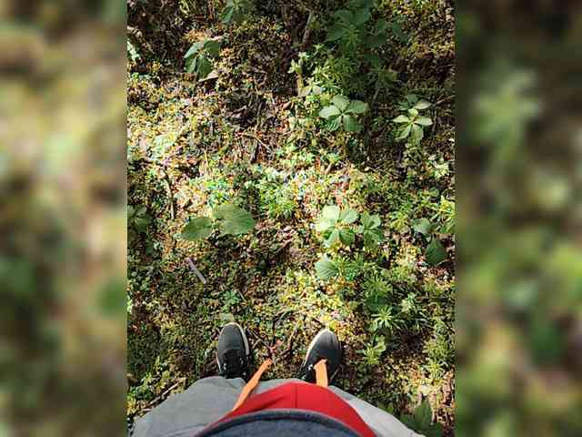 Sexy4pig Live Webcam on BongaCams