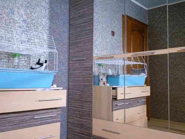 RutheLagerquist webcam