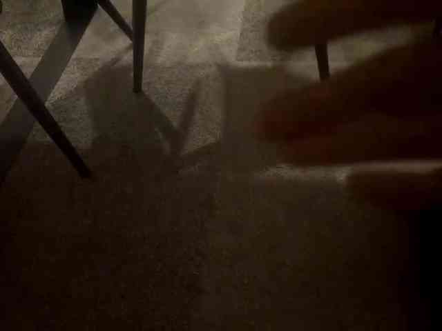 RutheLagerquist webcam