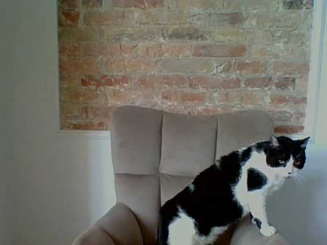 LilyTop live webcam show