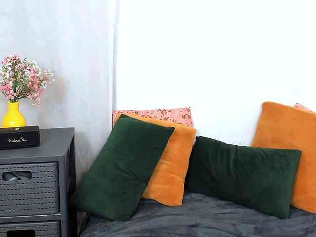 LilyTop webcam