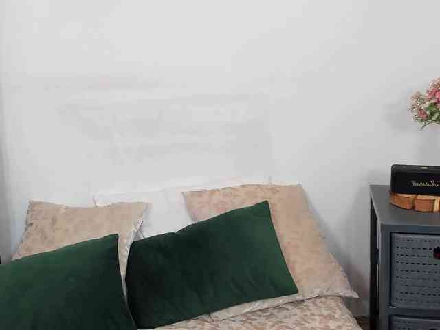 LilyTop webcam