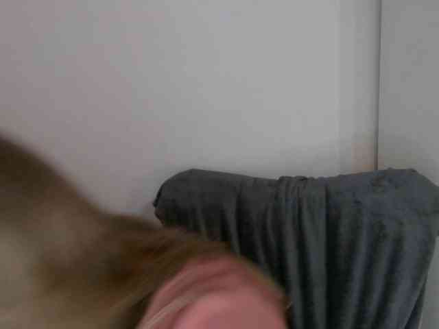 LilyTop