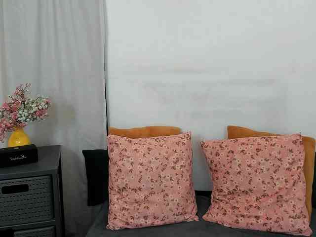 LilyTop webcam