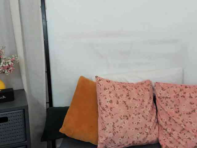 LilyTop webcam