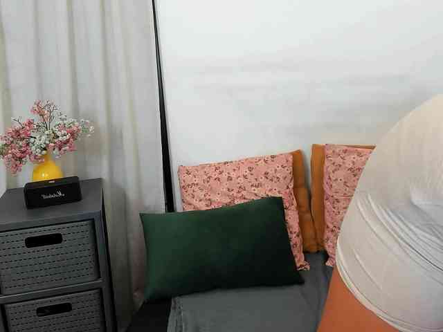 LilyTop webcam