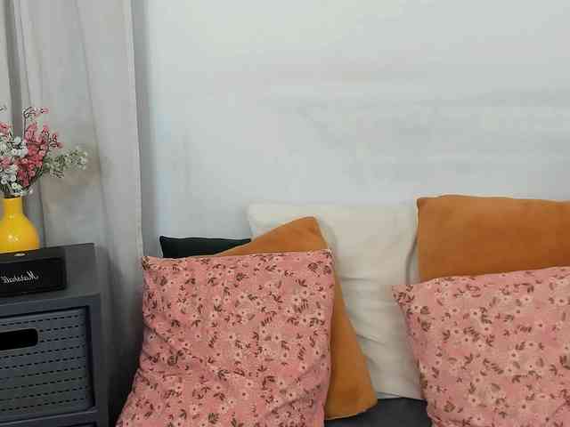LilyTop webcam