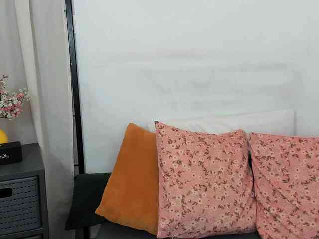 LilyTop webcam