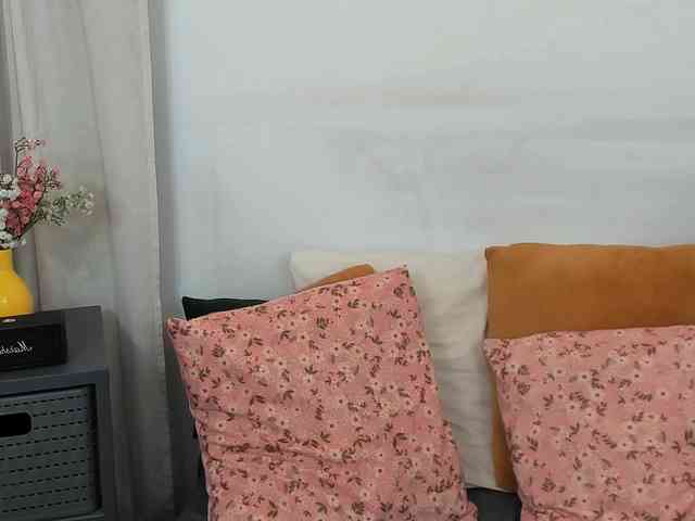 LilyTop webcam