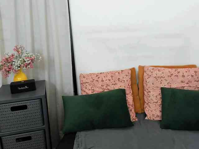LilyTop webcam