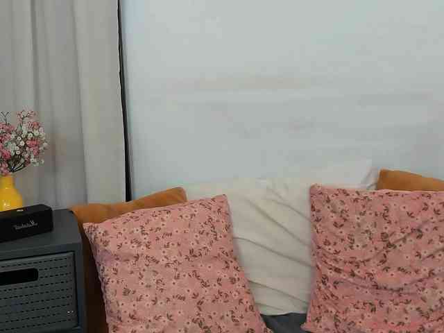 LilyTop webcam