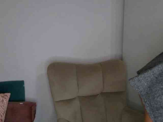 LilyTop webcam