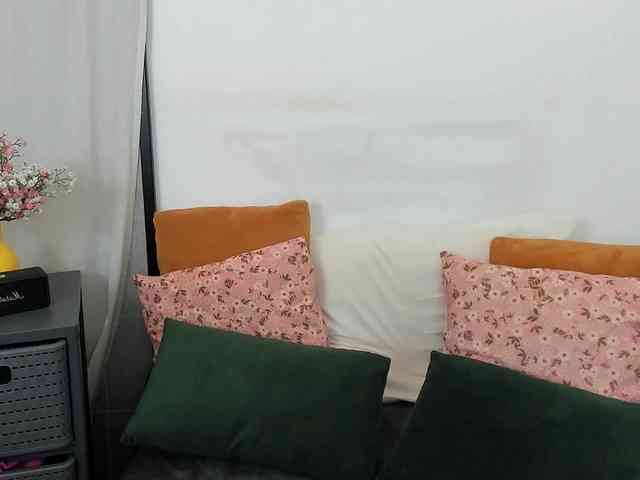 LilyTop webcam