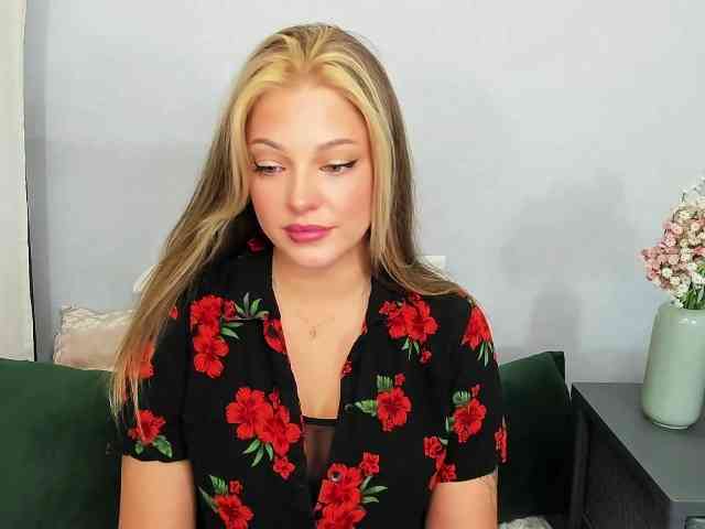 LilyTop webcam