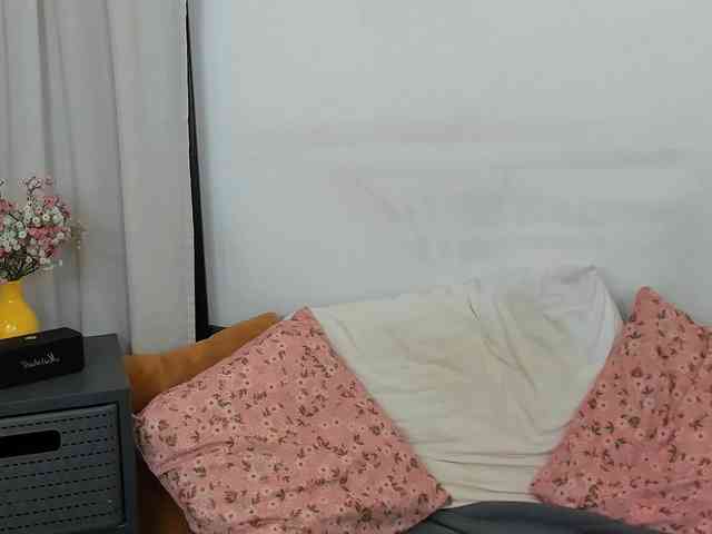 LilyTop webcam