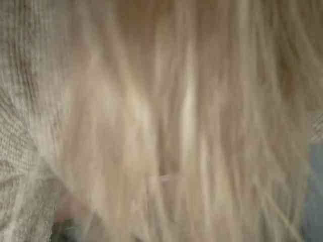 LilyTop webcam