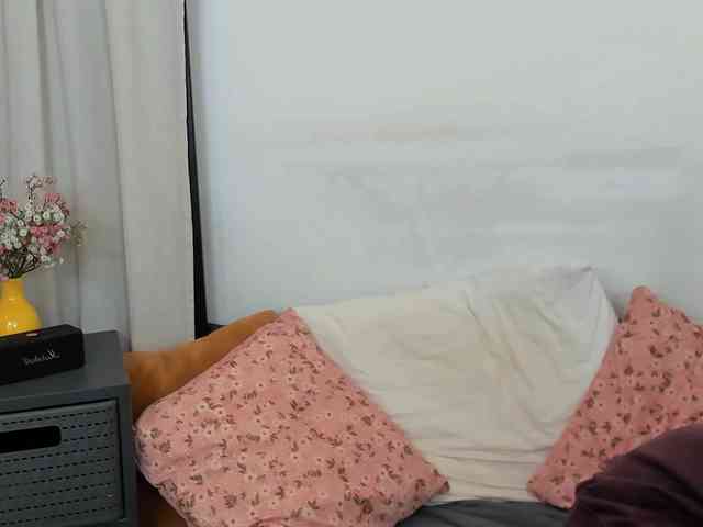 LilyTop webcam