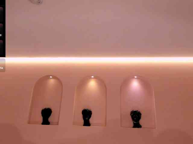 BriannaFox1 Live Webcam on BongaCams