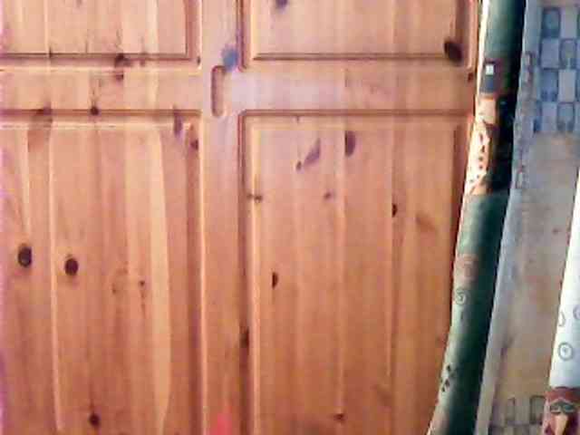 Purple-cat55