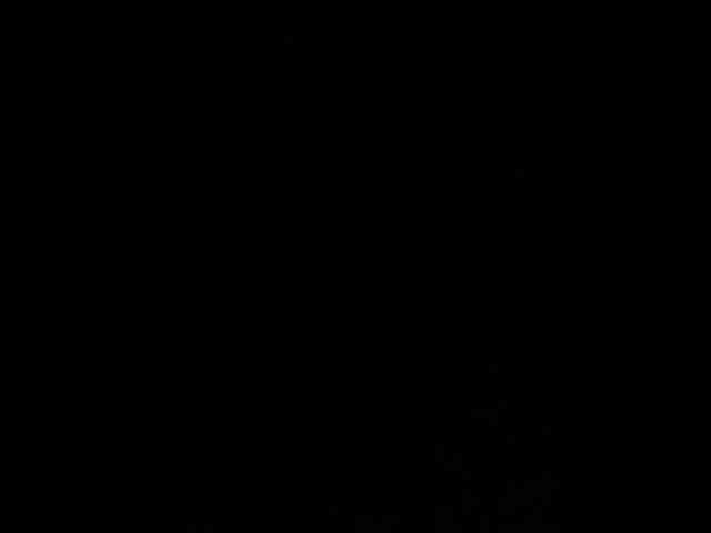 ALYA-01 webcam