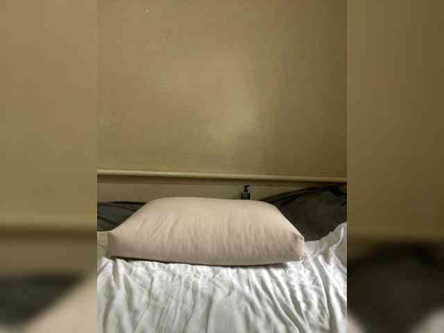 ALYA-01 webcam