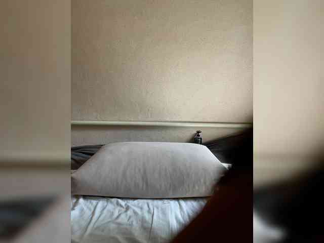 ALYA-01 webcam