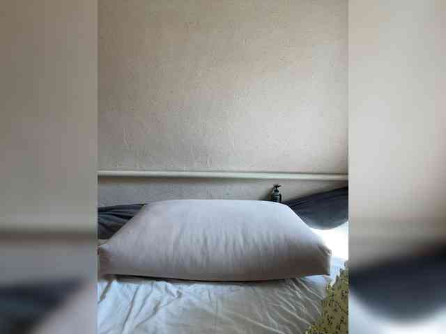 ALYA-01 webcam