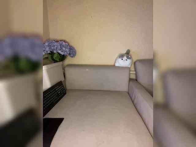 ALYA-01 Sex Cam Show