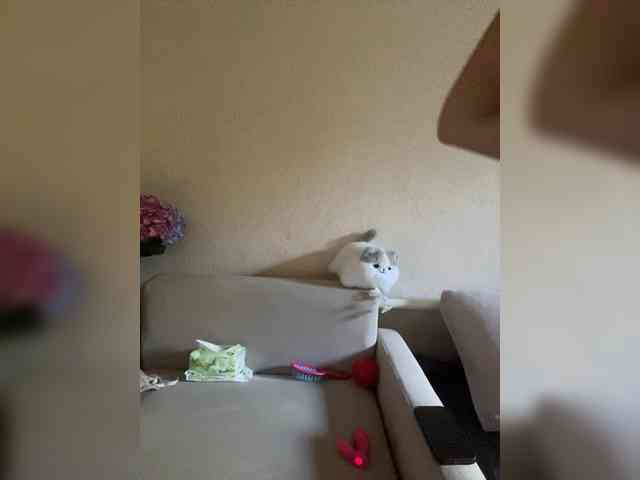 ALYA-01 webcam